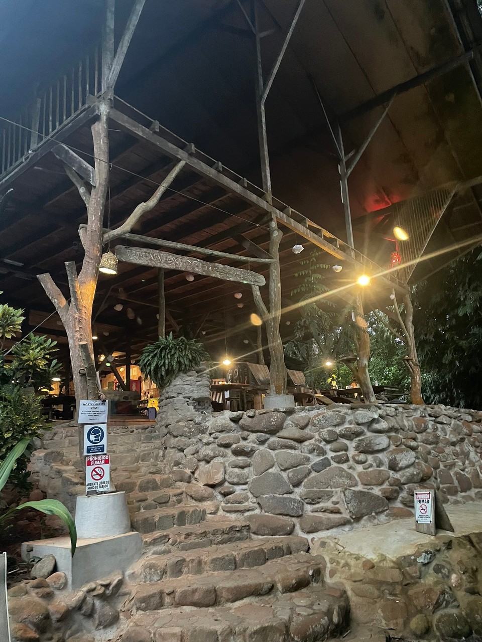 Costa Rica - Osa - … und sind in der Abenddämmerung (die hier ab circa 17 Uhr beginnt 😅) zurück im Hostel gewesen 📖