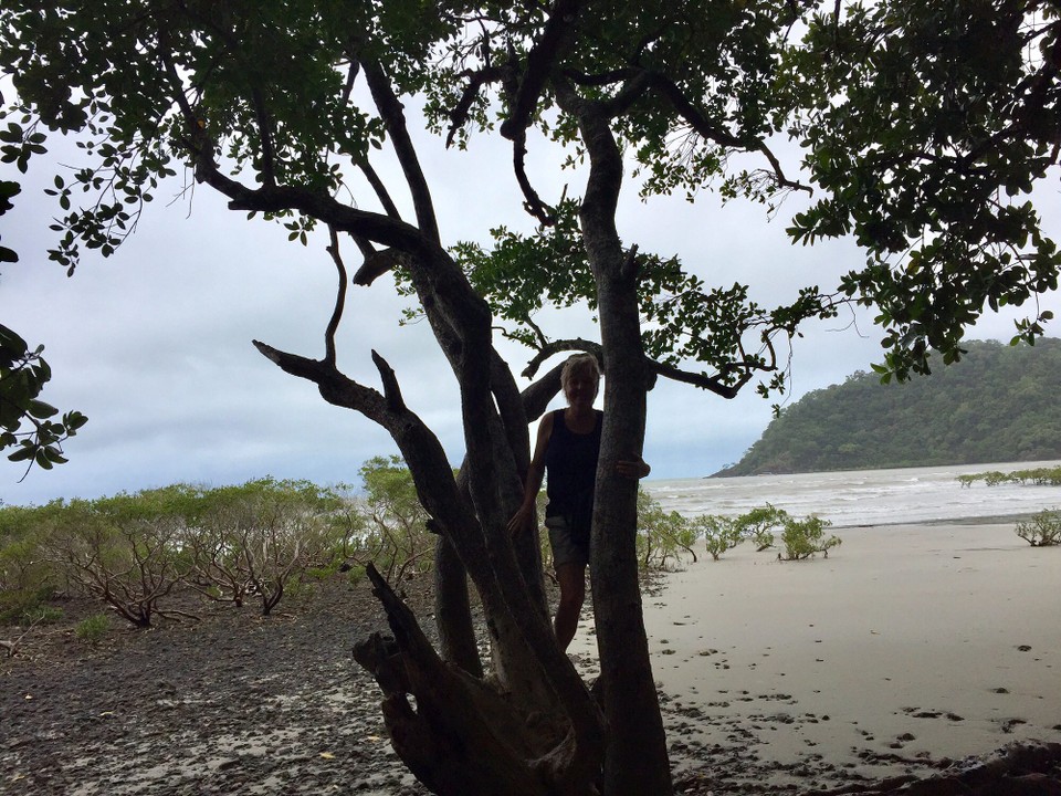 Australien - Cape Tribulation - 