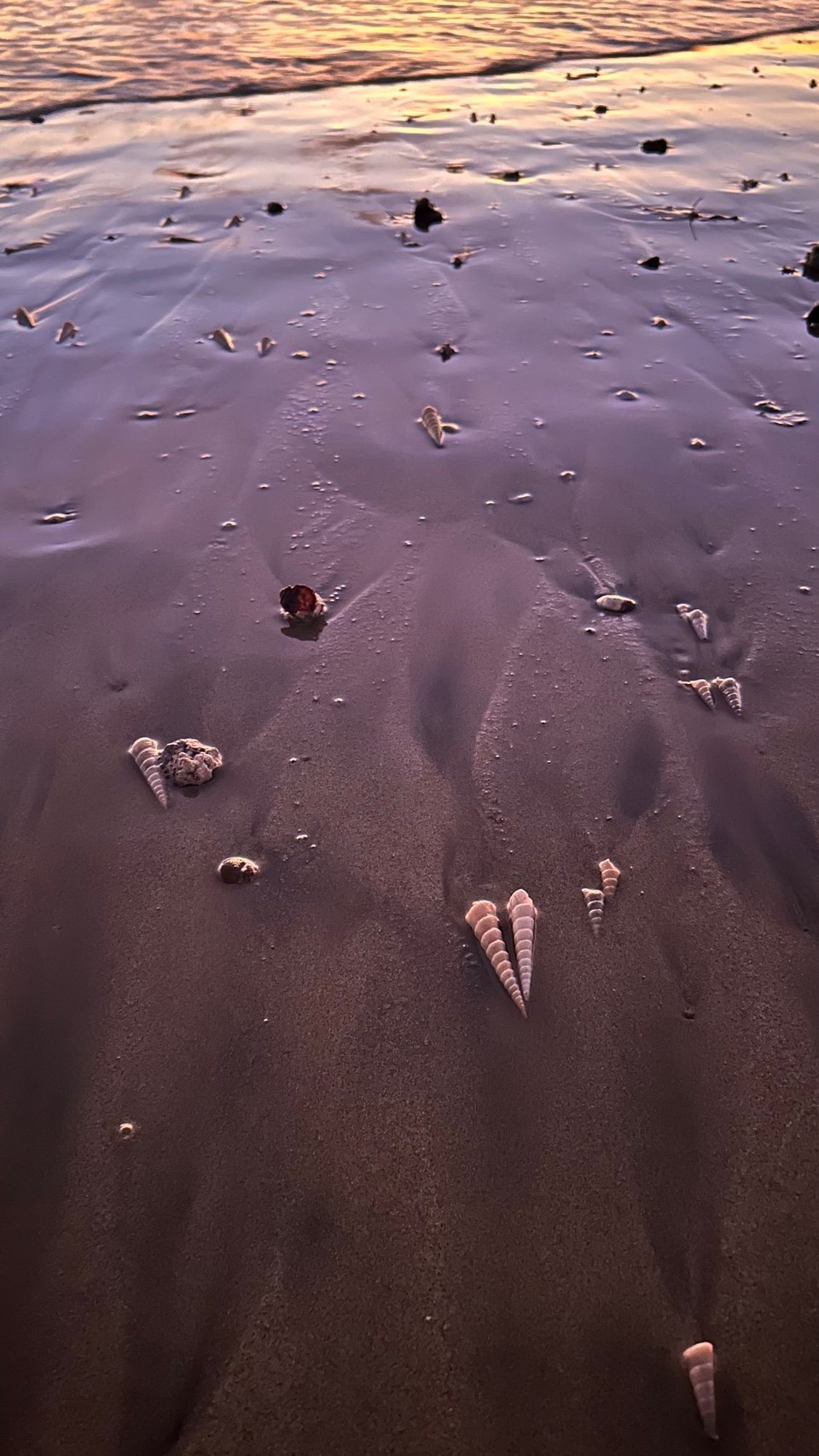 Costa Rica - Playa Grande - 