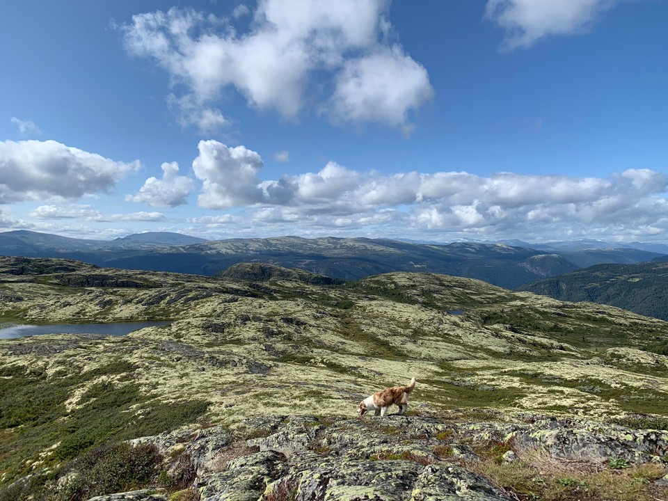 Norge - Bøverdalen - 