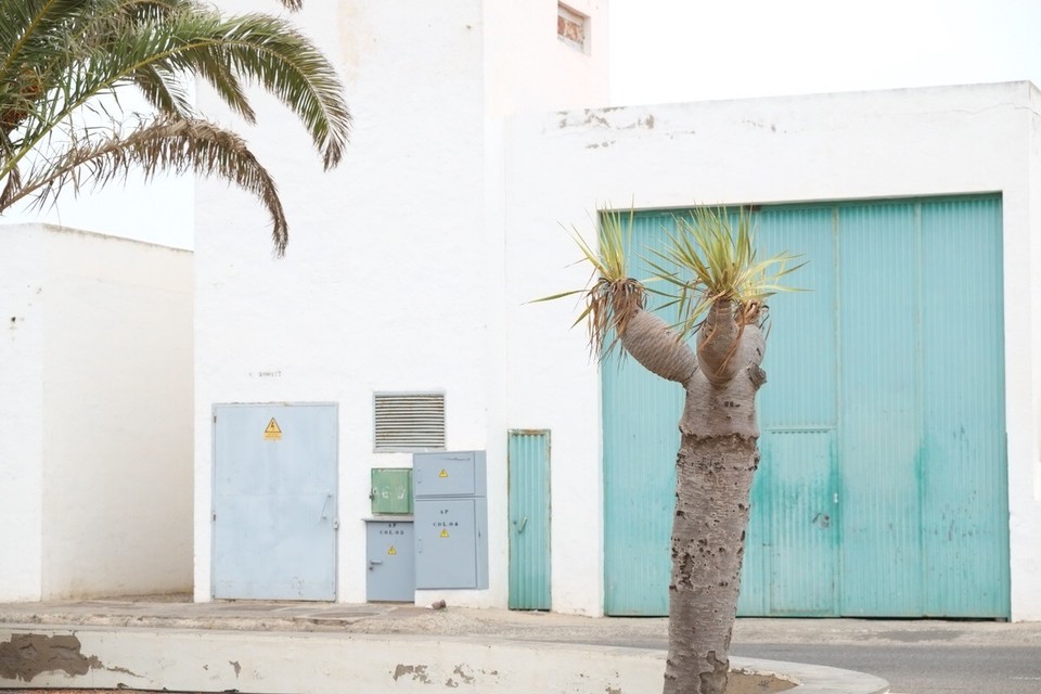 Spanien - La Oliva - 