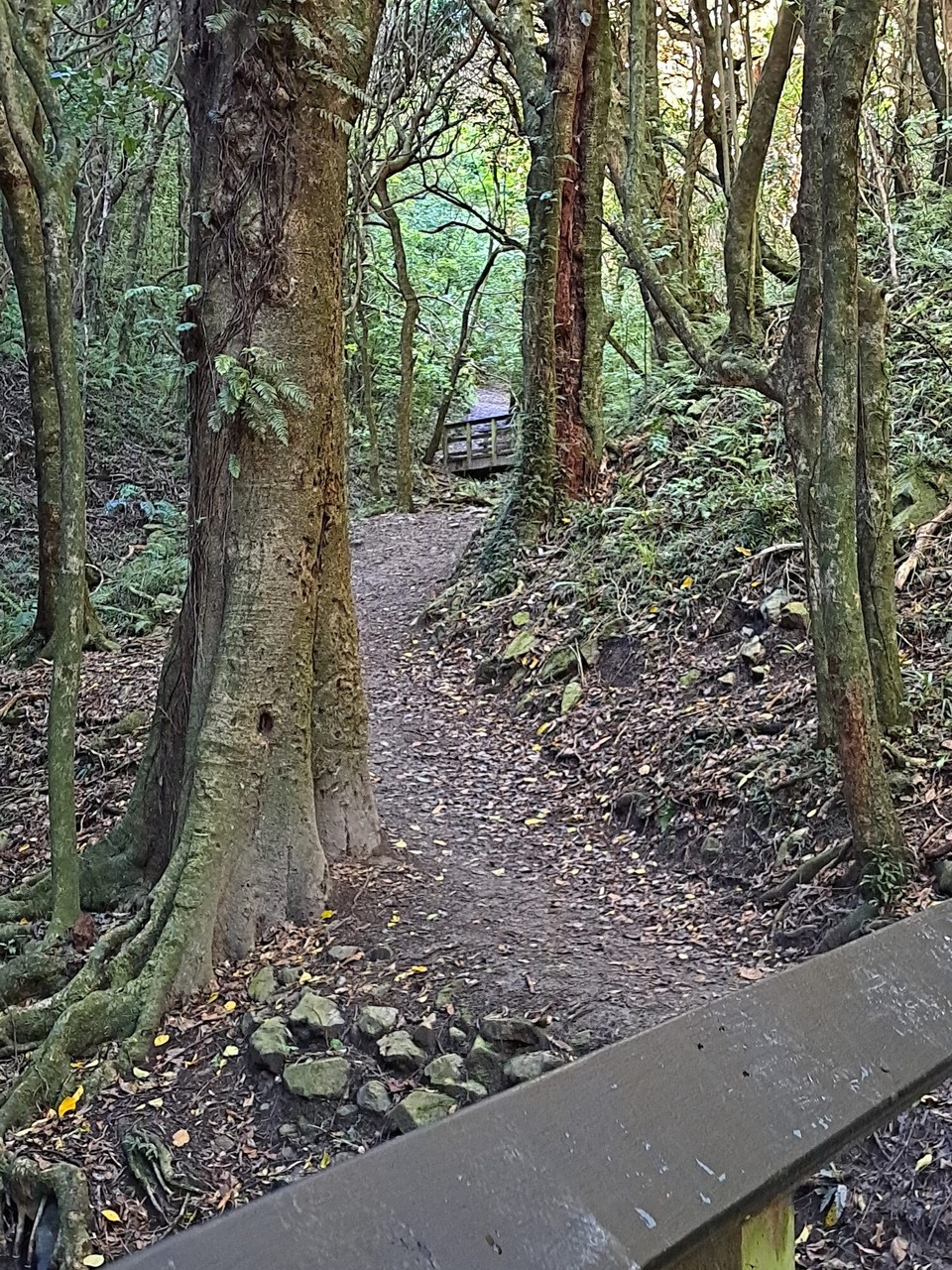 Neuseeland - Wellington - Ein schöner Wanderweg 
