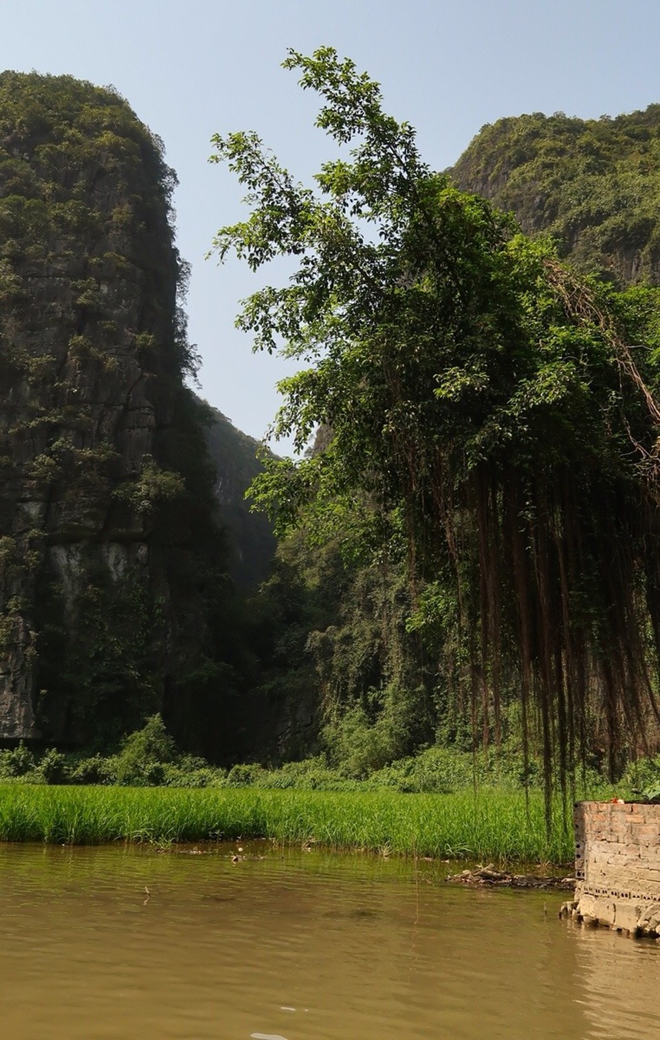 Vietnam - Ninh Bình - 