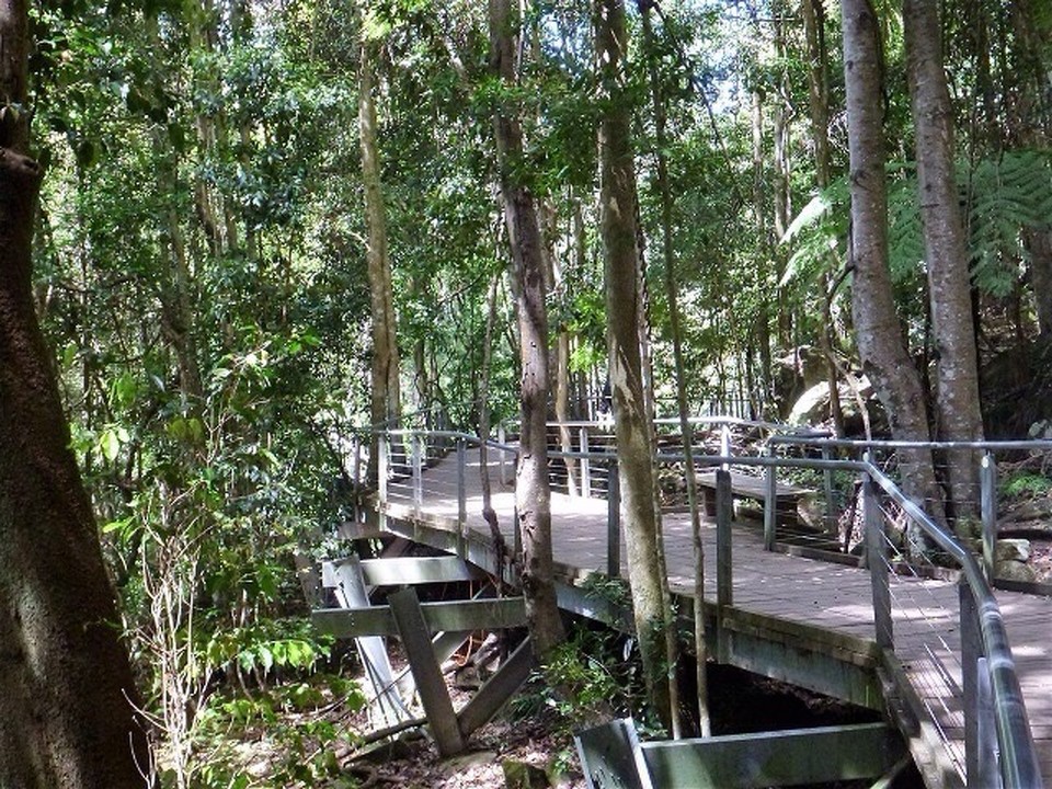 Australien - Katoomba - Waldwanderung