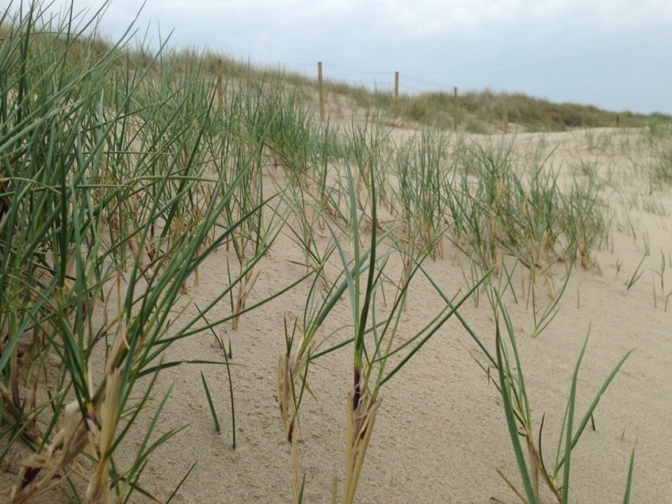 Belgien - Blankenberge - 