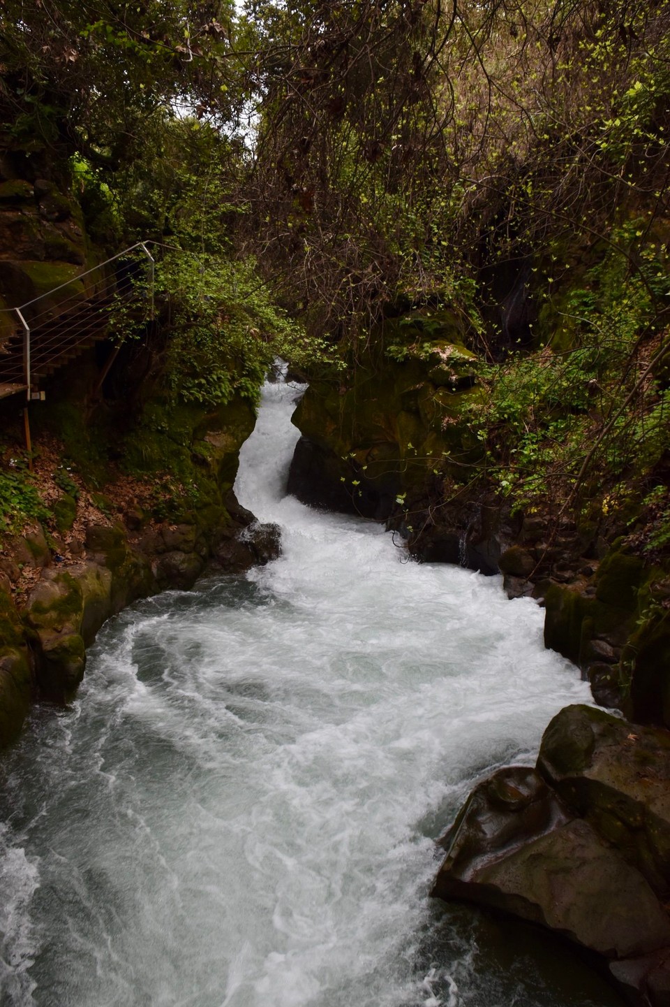 Israel -  - Unser Ziel war der Banias Wasserfal.