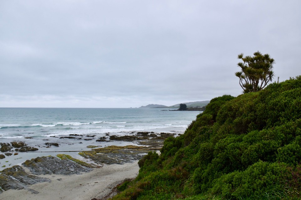 Neuseeland - Owaka - In den Catlins (so wird dieses Gebiet genannt) angekommen,fahren wir zum Strand an den Kaka Point.