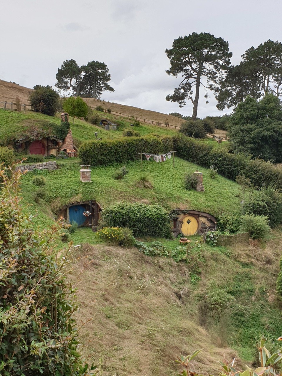 Neuseeland - Matamata - 