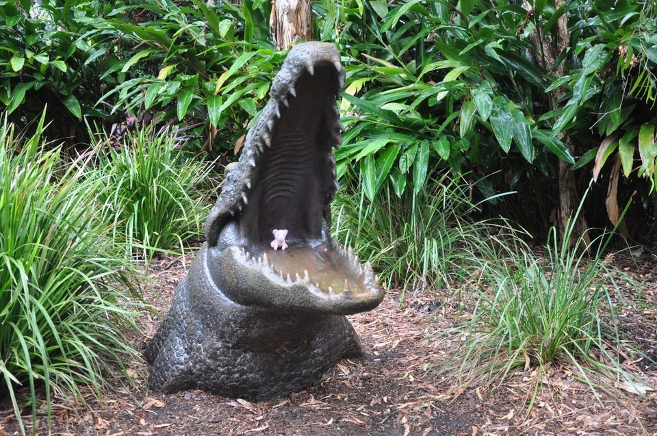 Australien - Noosa Heads - Hilfe!!!