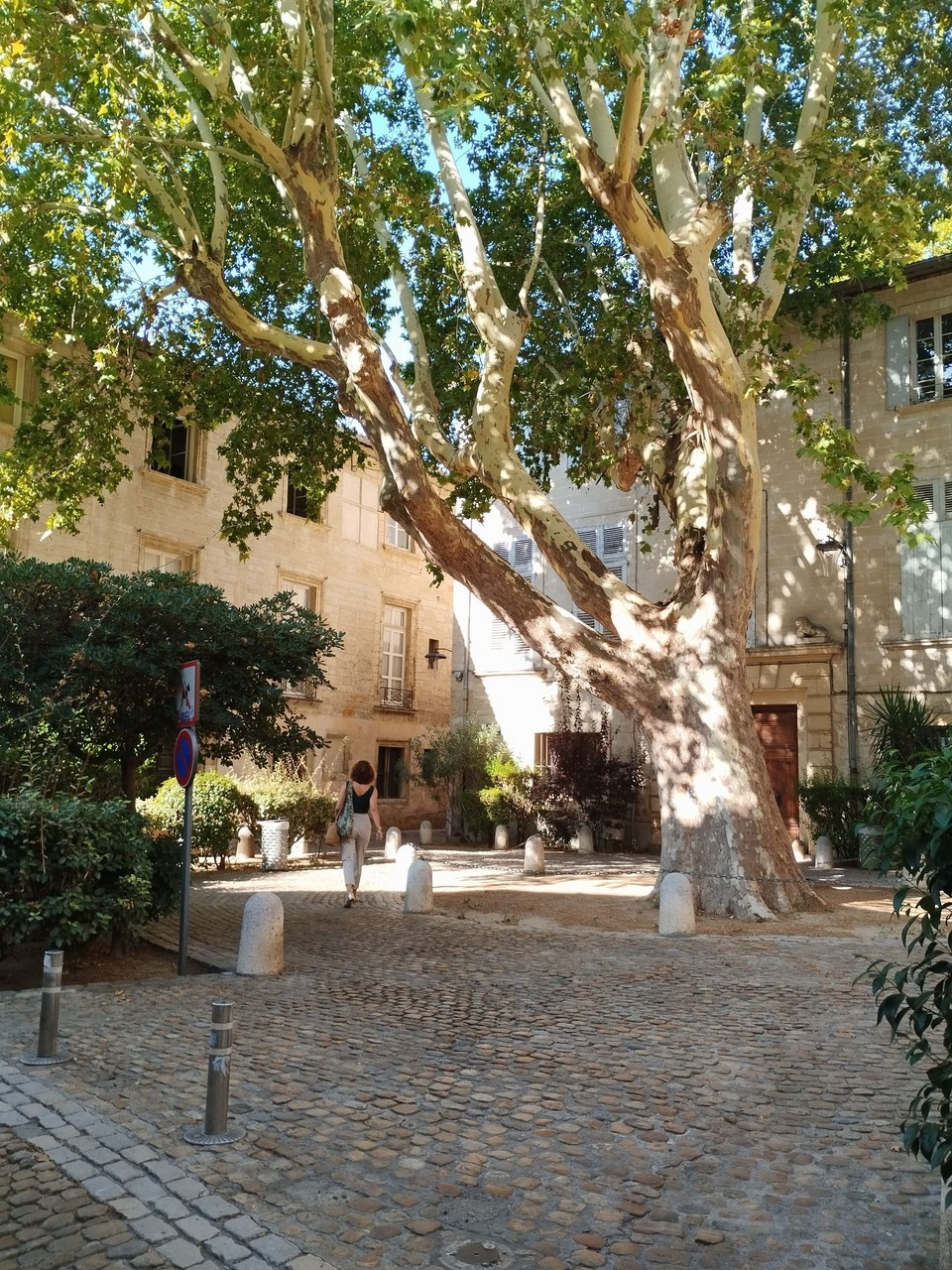Frankreich - Avignon - 