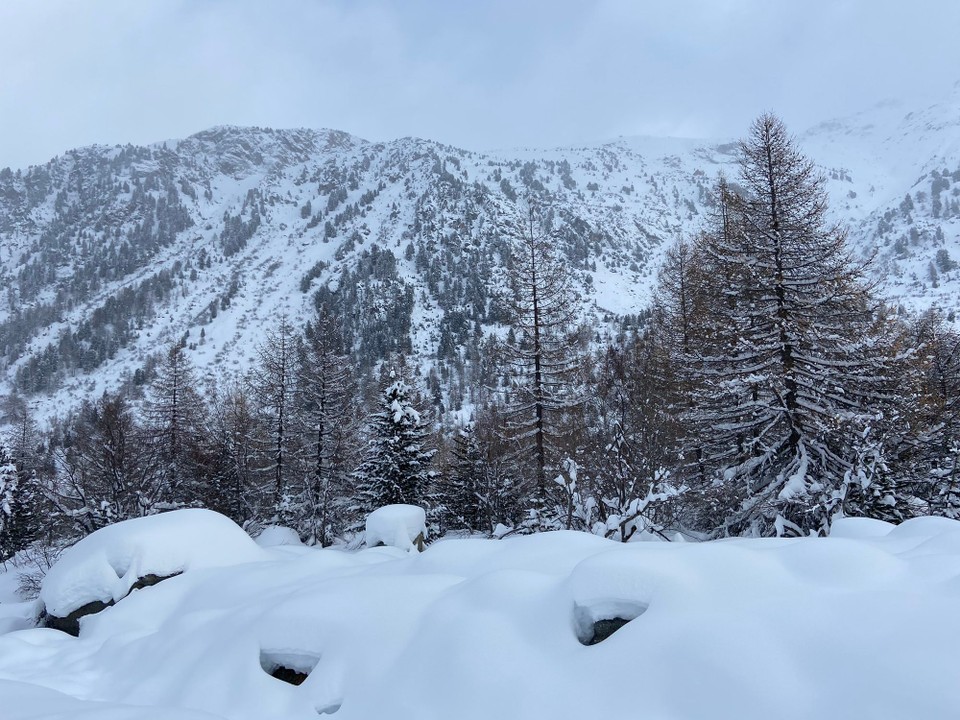 Schweiz - Pontresina - 