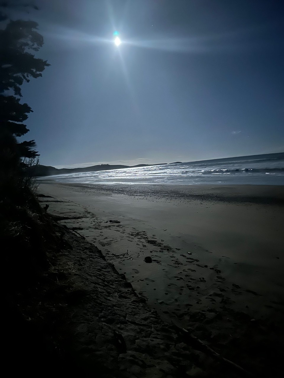 Neuseeland - Dunedin - 