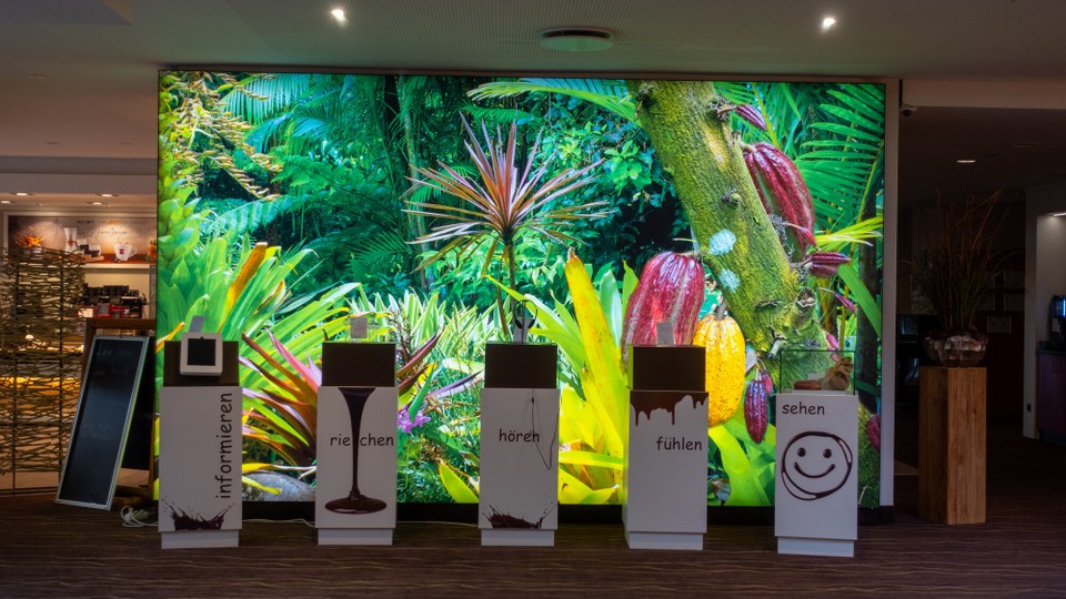 Deutschland - Westerstede - 