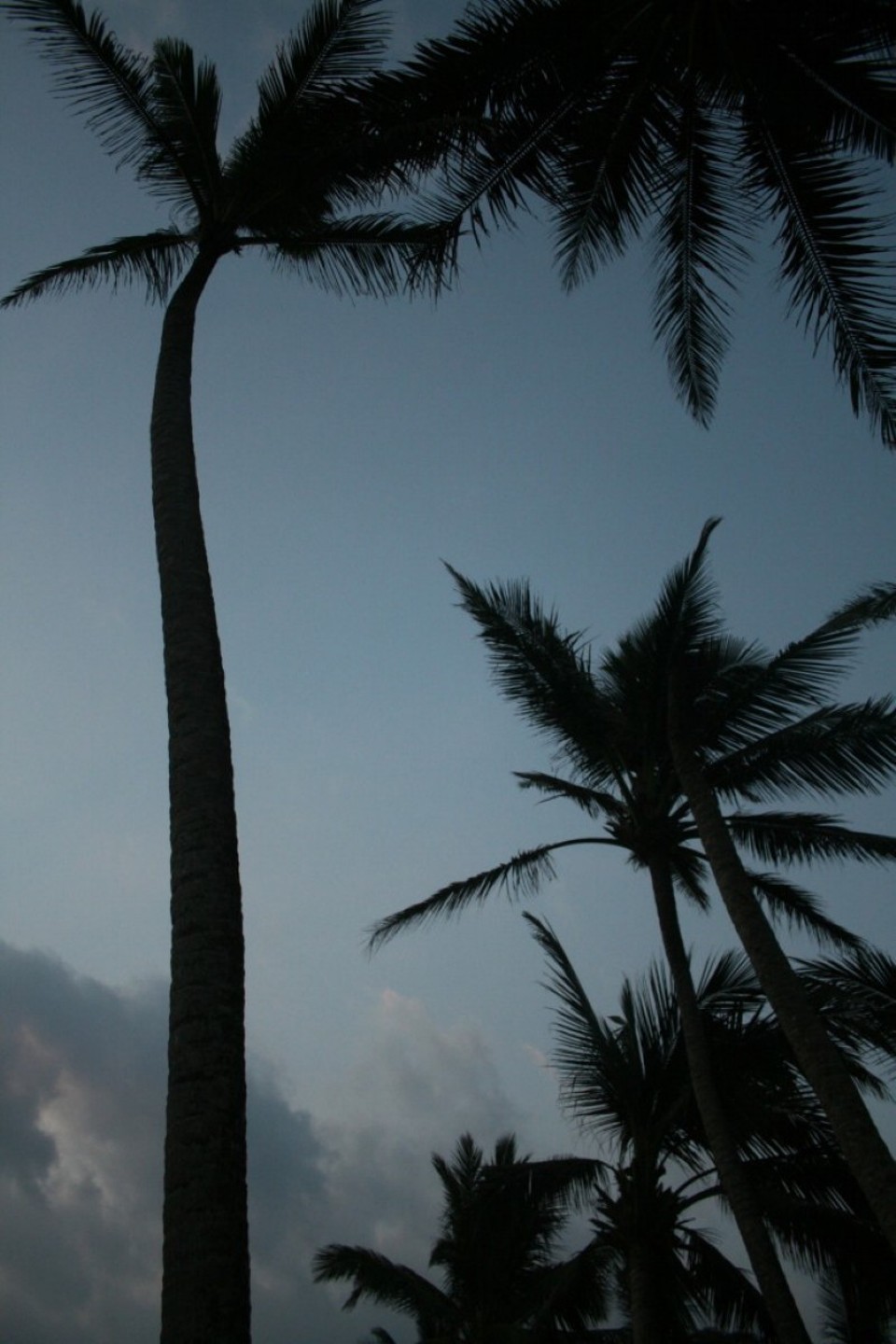 Sri Lanka - Ahangama - 