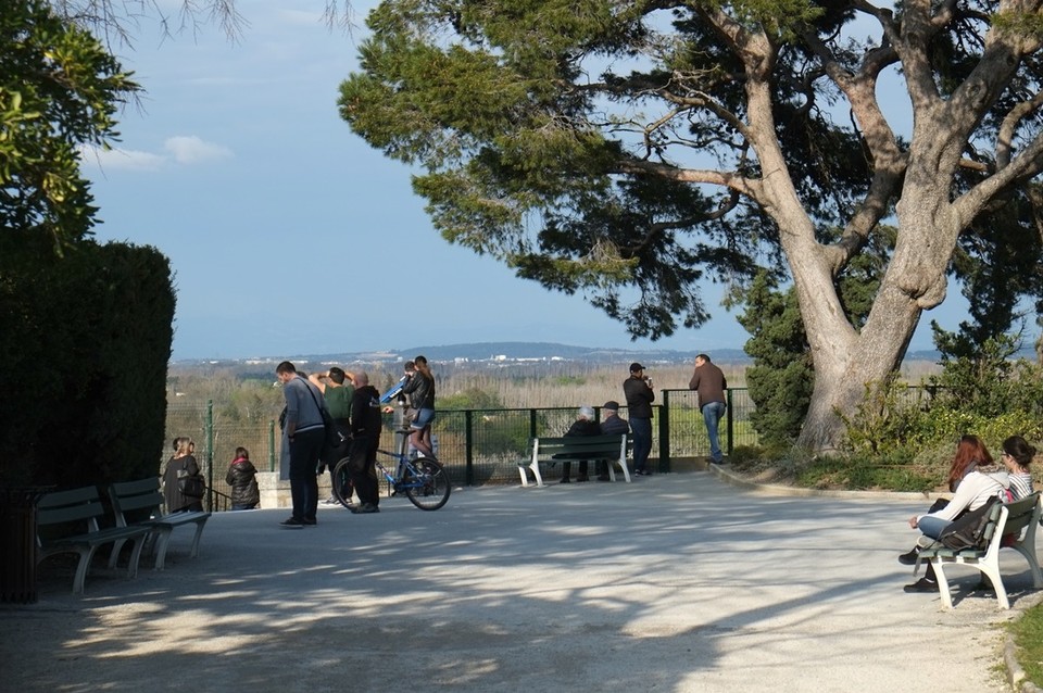 Frankreich - Avignon - 