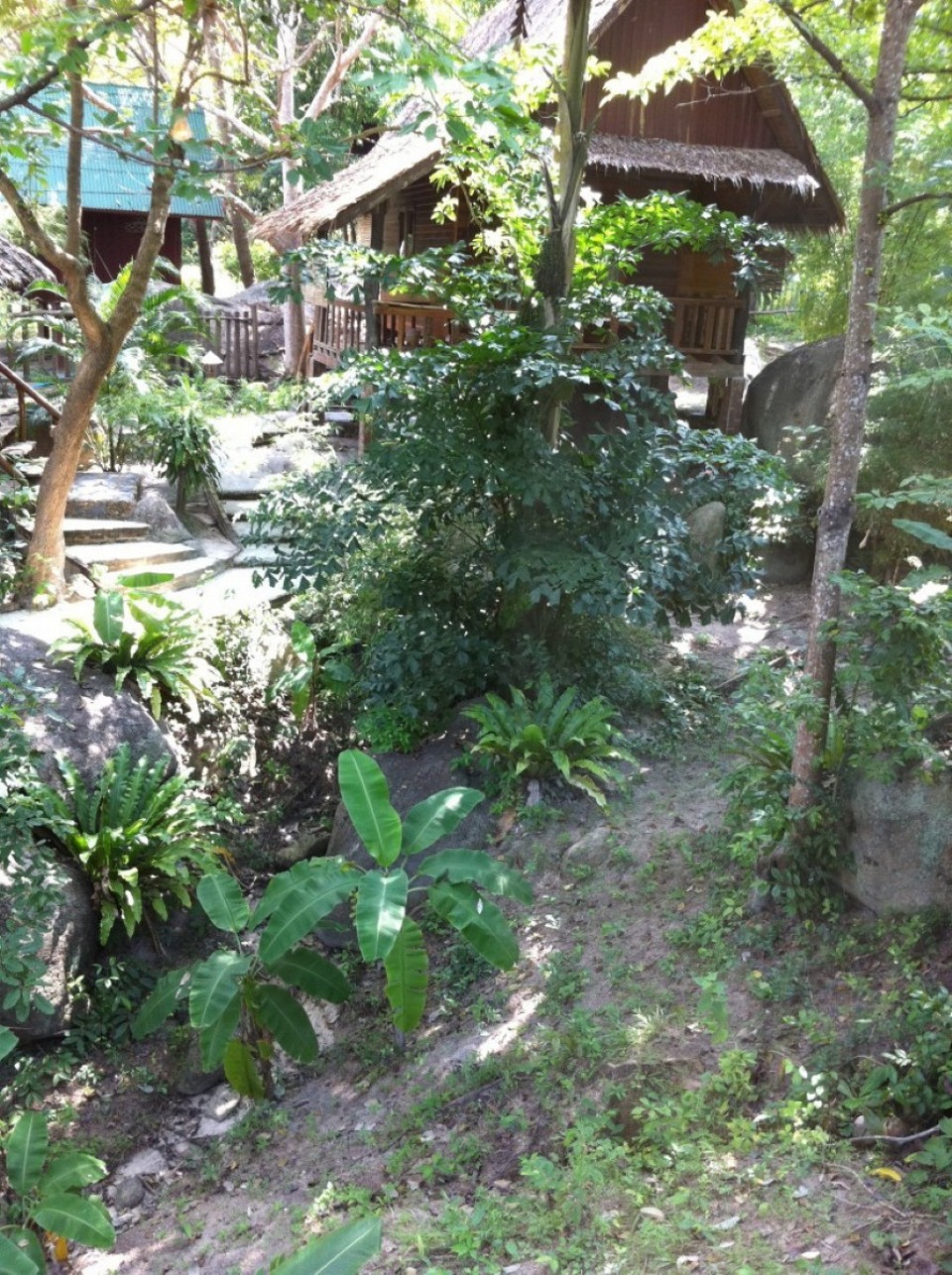 Thailand - Ko Tao - 