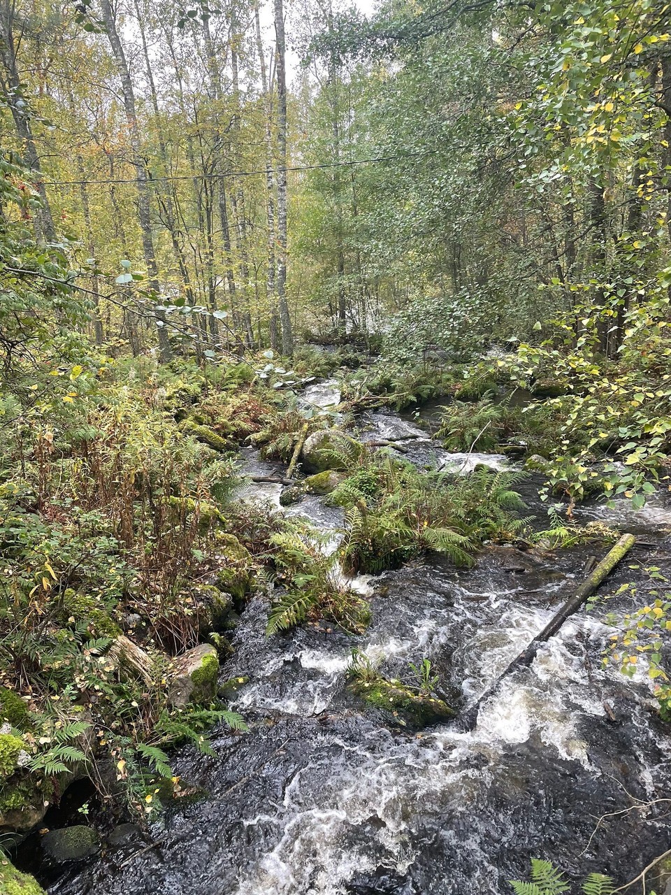 Finnland - Rantasalmi - 