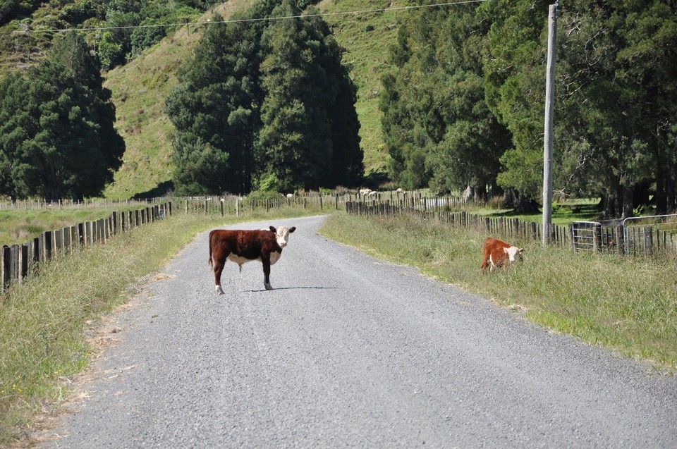 Neuseeland - New Plymouth - 