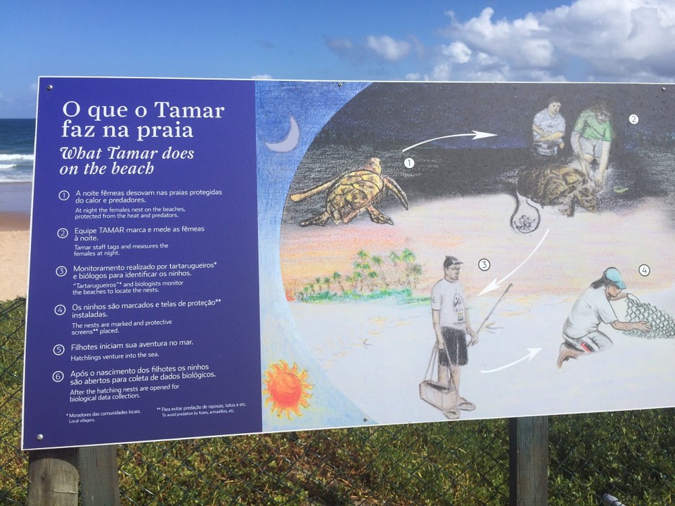 Brasilien - Camaçari - Schildkröten Versorgungs und Aufzuchtstation