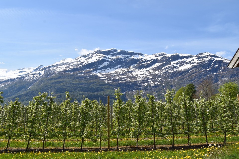 Norwegen - Hovden - 