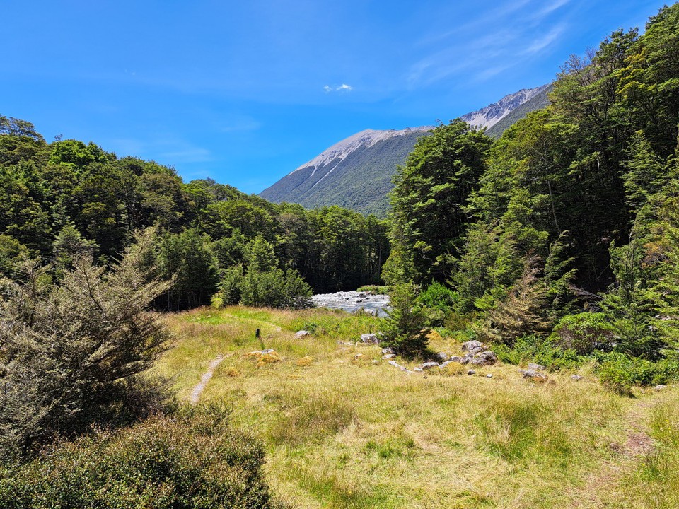 Neuseeland - Nelson Lakes National Park - 