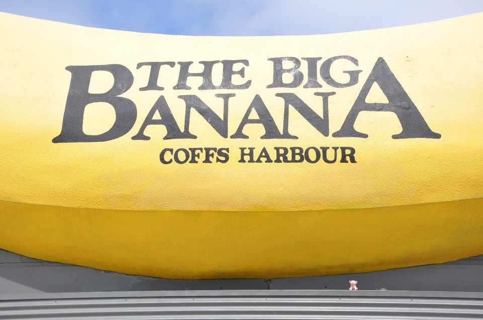 Australien - Coffs Harbour City - Wo wächst den die?