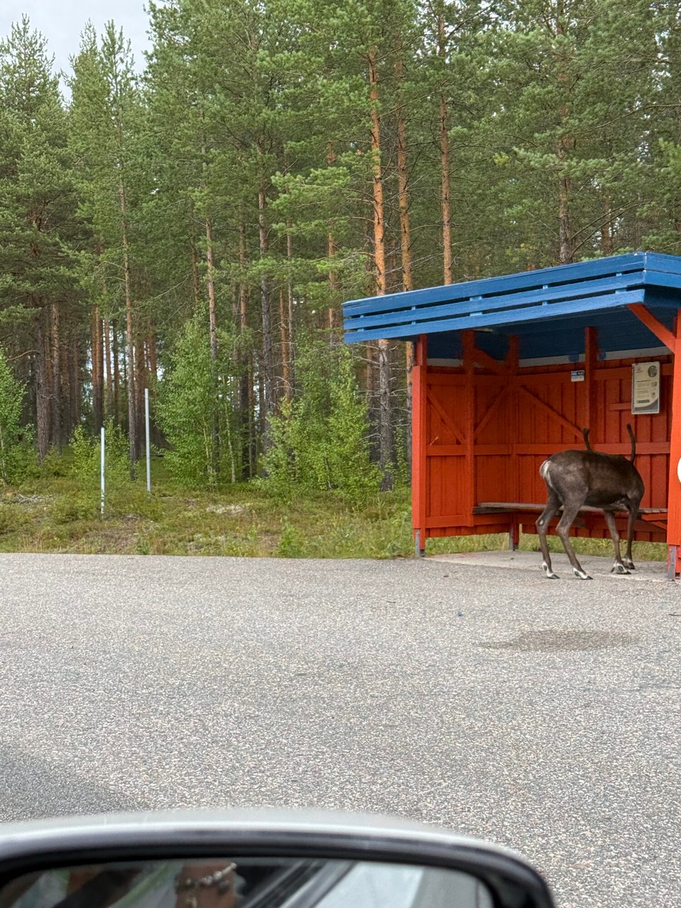 Schweden - Jukkasjärvi - Warten auf den Bus?