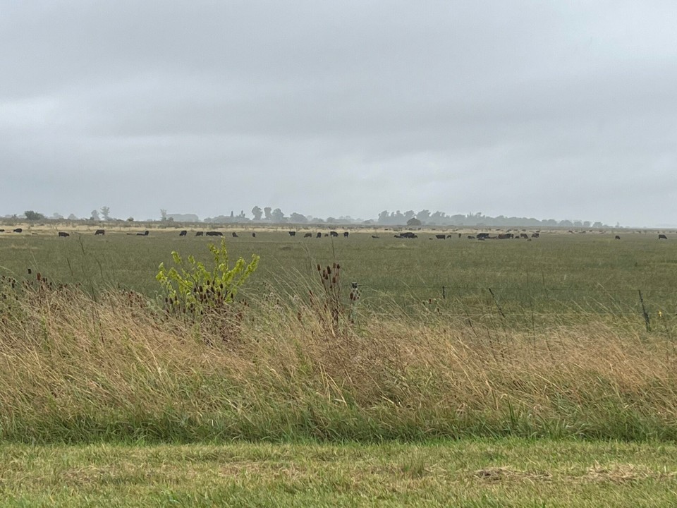 Ort bestimmen … -  - 