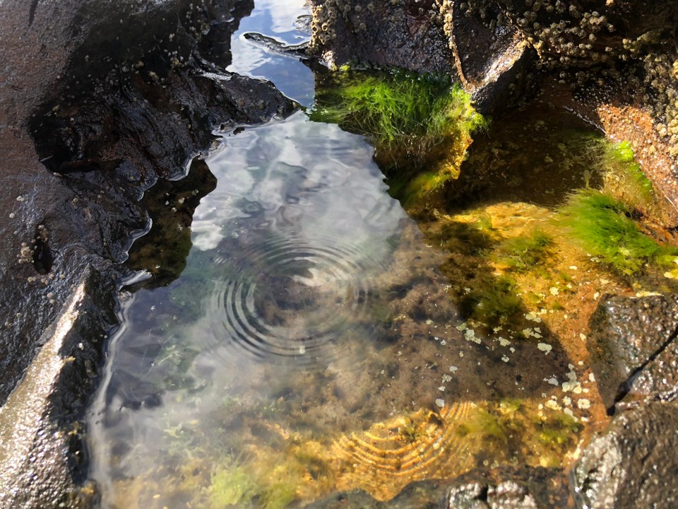 Portugal - Ribeira Grande - 