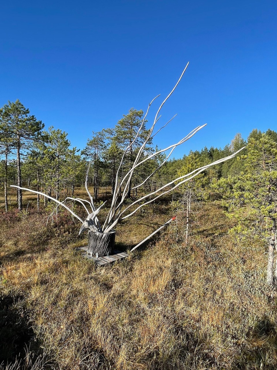 Finnland - Lievestuore - 