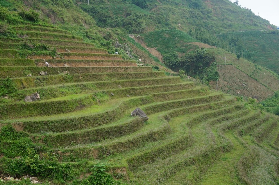 Vietnam -  - 