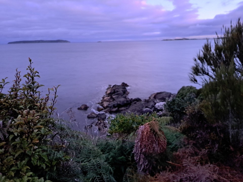 Neuseeland - Stewart Island - 