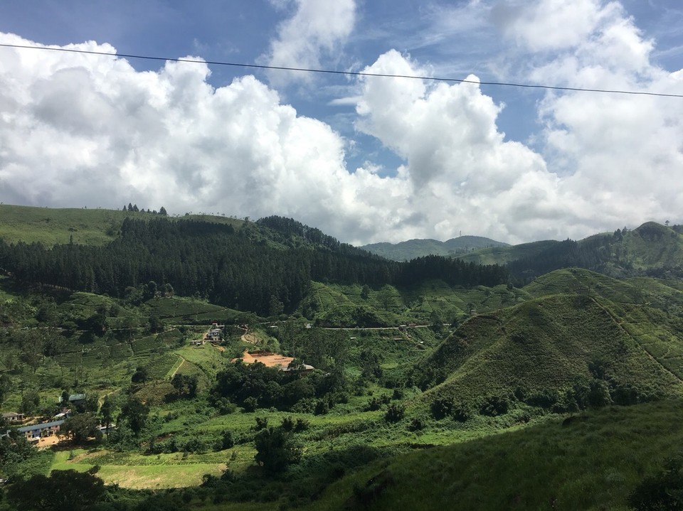 Sri Lanka - Kandy - 