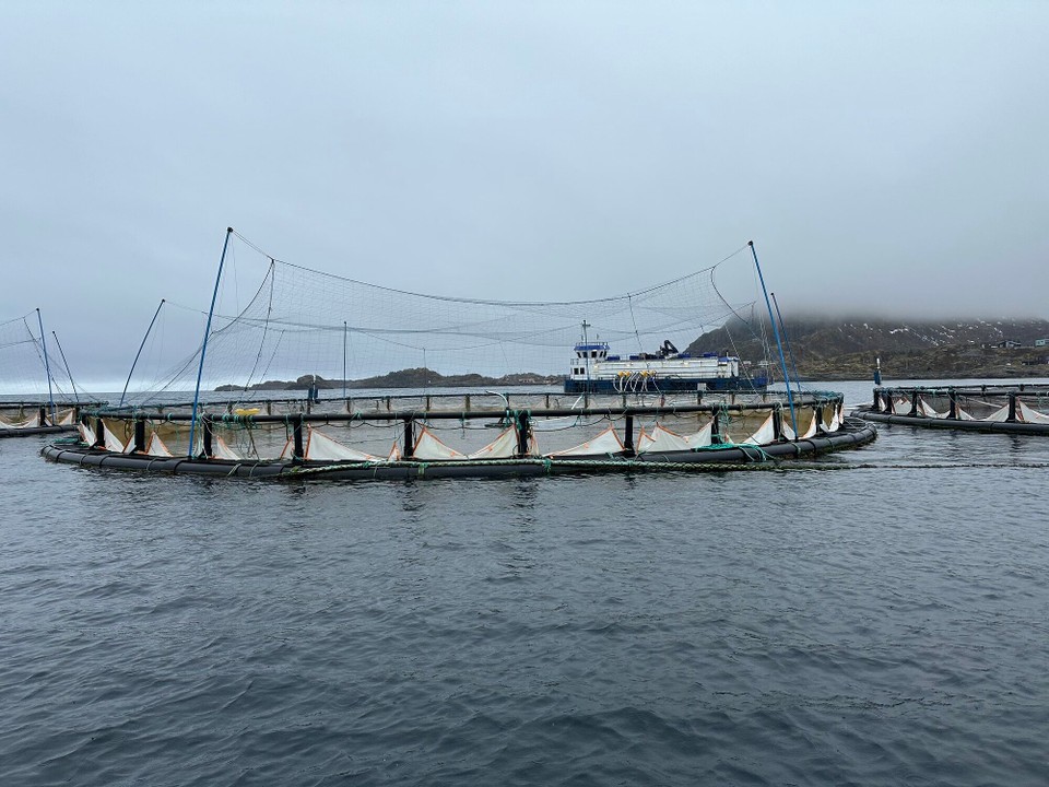 Norwegen - Sennesvik - 