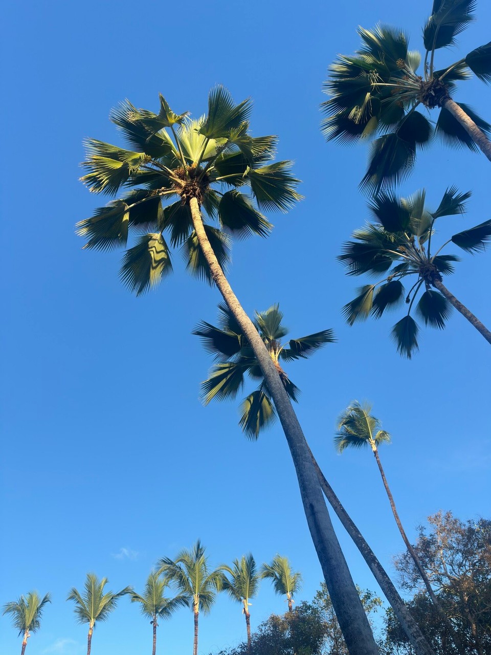 Dominikanische Republik - Punta Cana - 