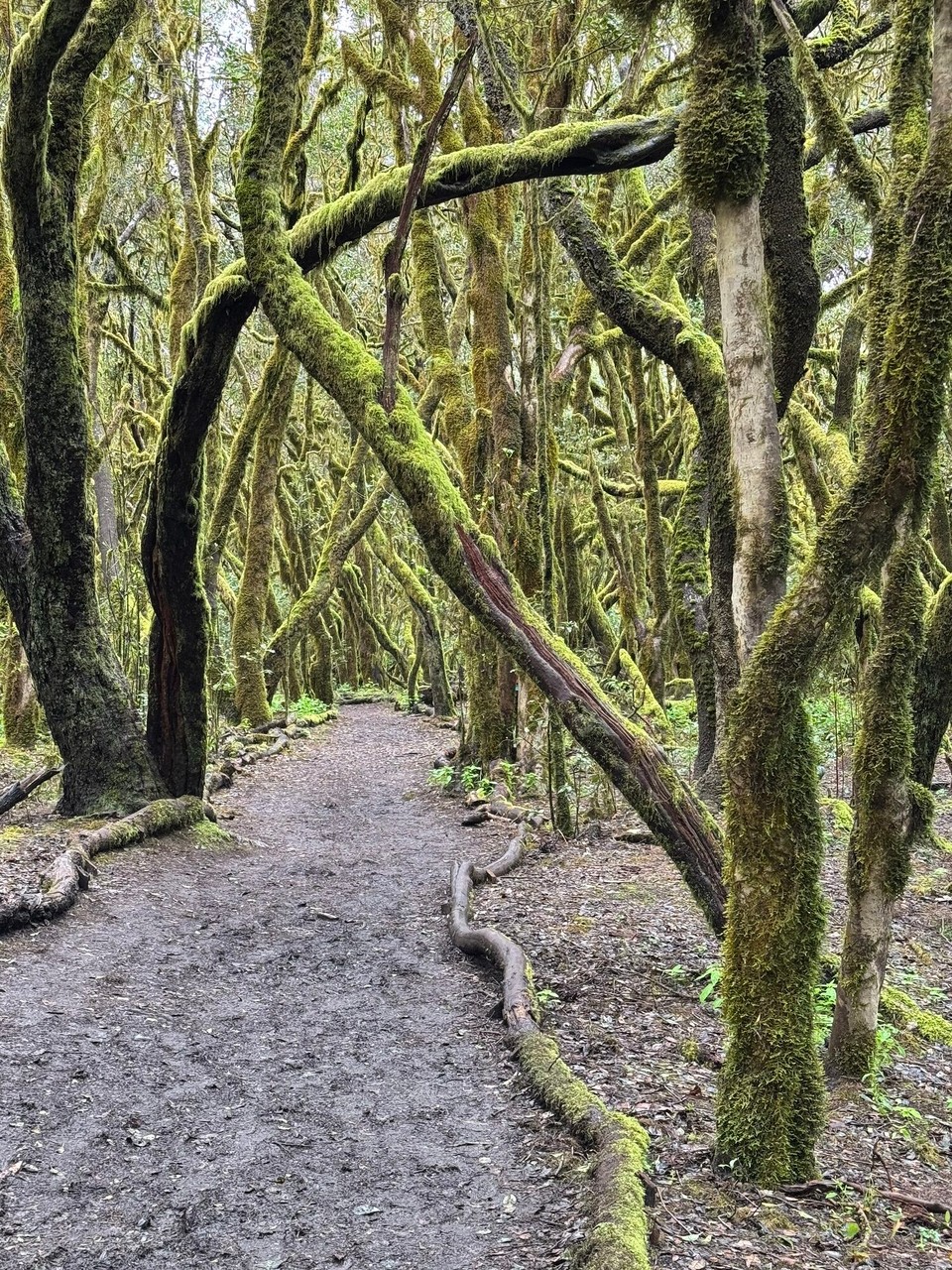 Spanien - San Sebastián de La Gomera - 