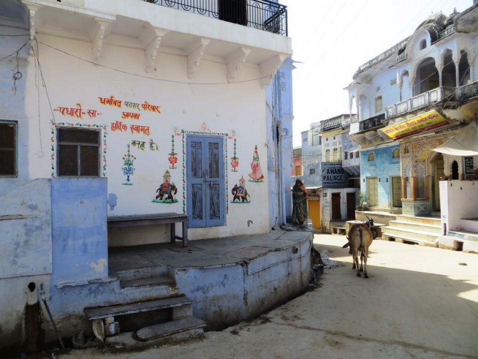 India - Pushkar - 