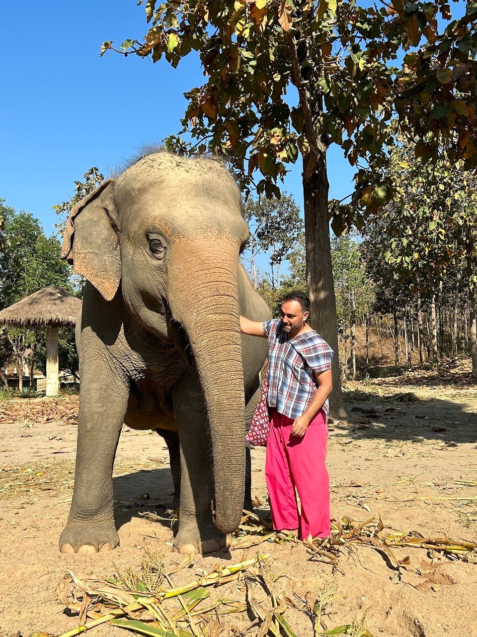 Thailand - Chiang Mai - 