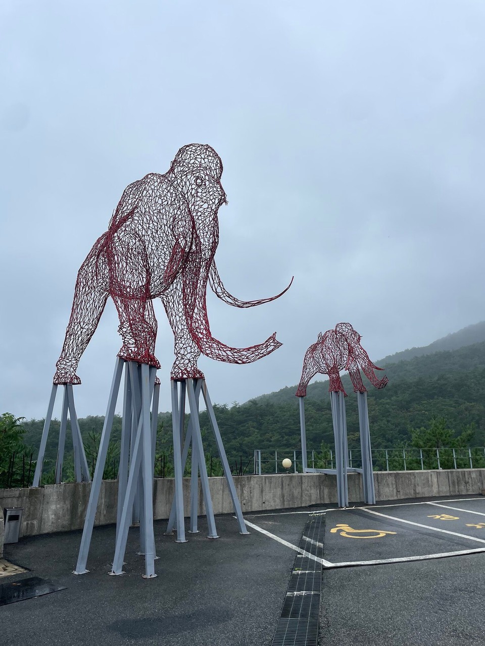 대한민국 - 강릉시 - 