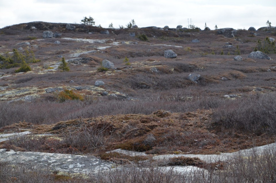 Kanada - Halifax - Peggy's Cove Banneland