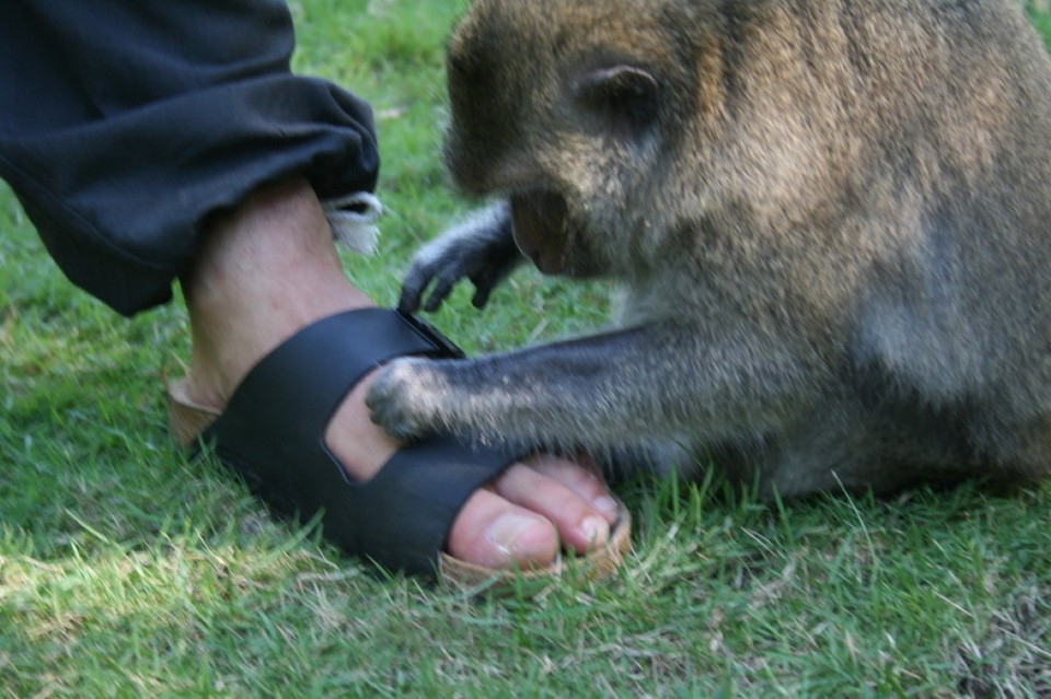 Thailand - Ko Kut - 