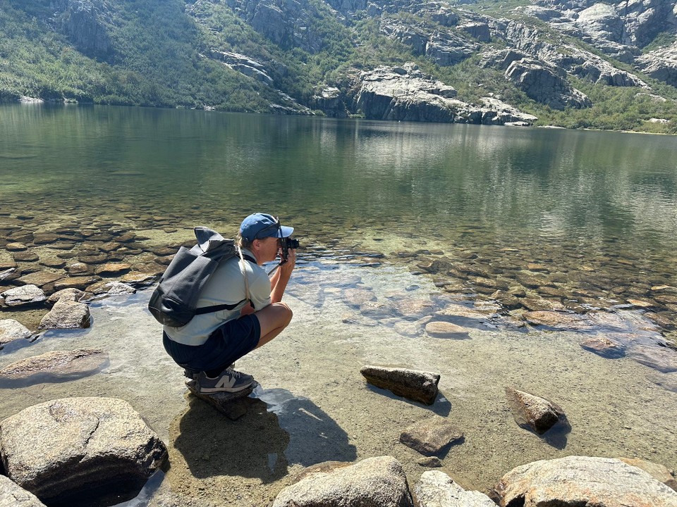 Frankreich - Corte - 