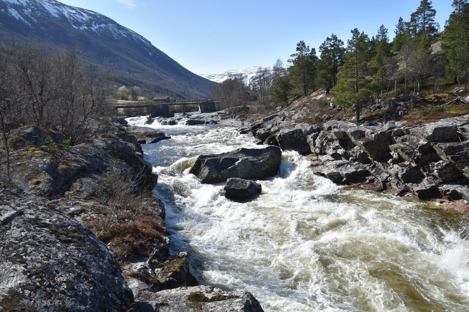 Norwegen - Oppdal - 