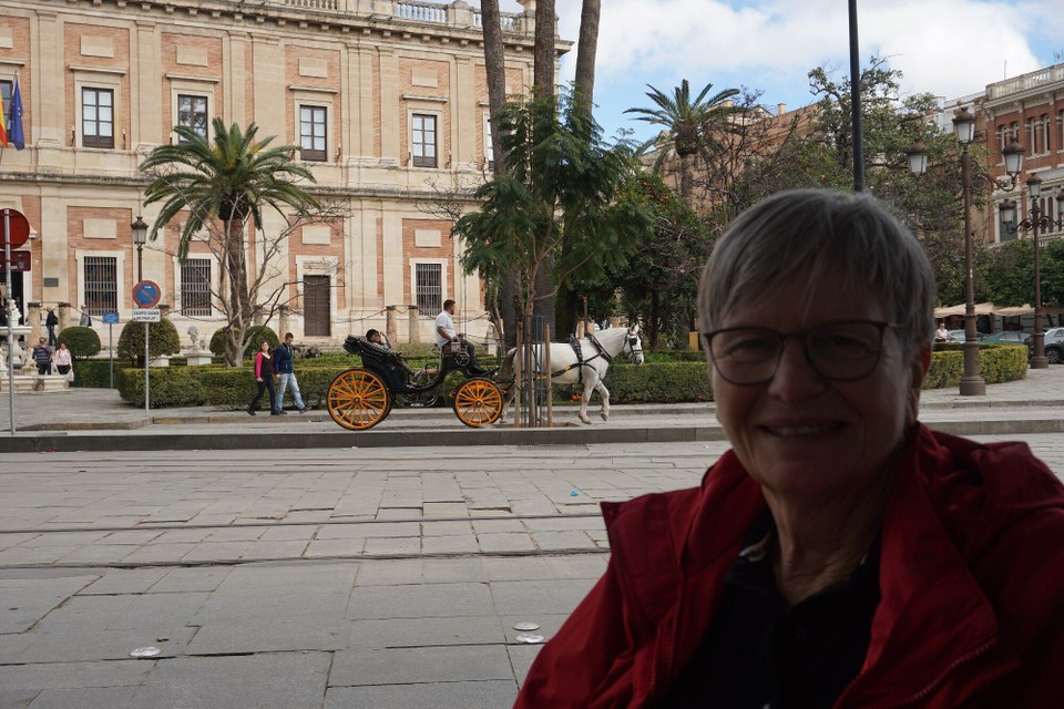 Spanien - Sevilla - viele Droschken