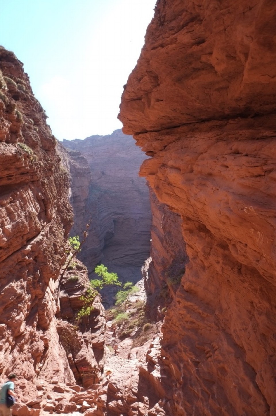Argentinien - Cafayate - 