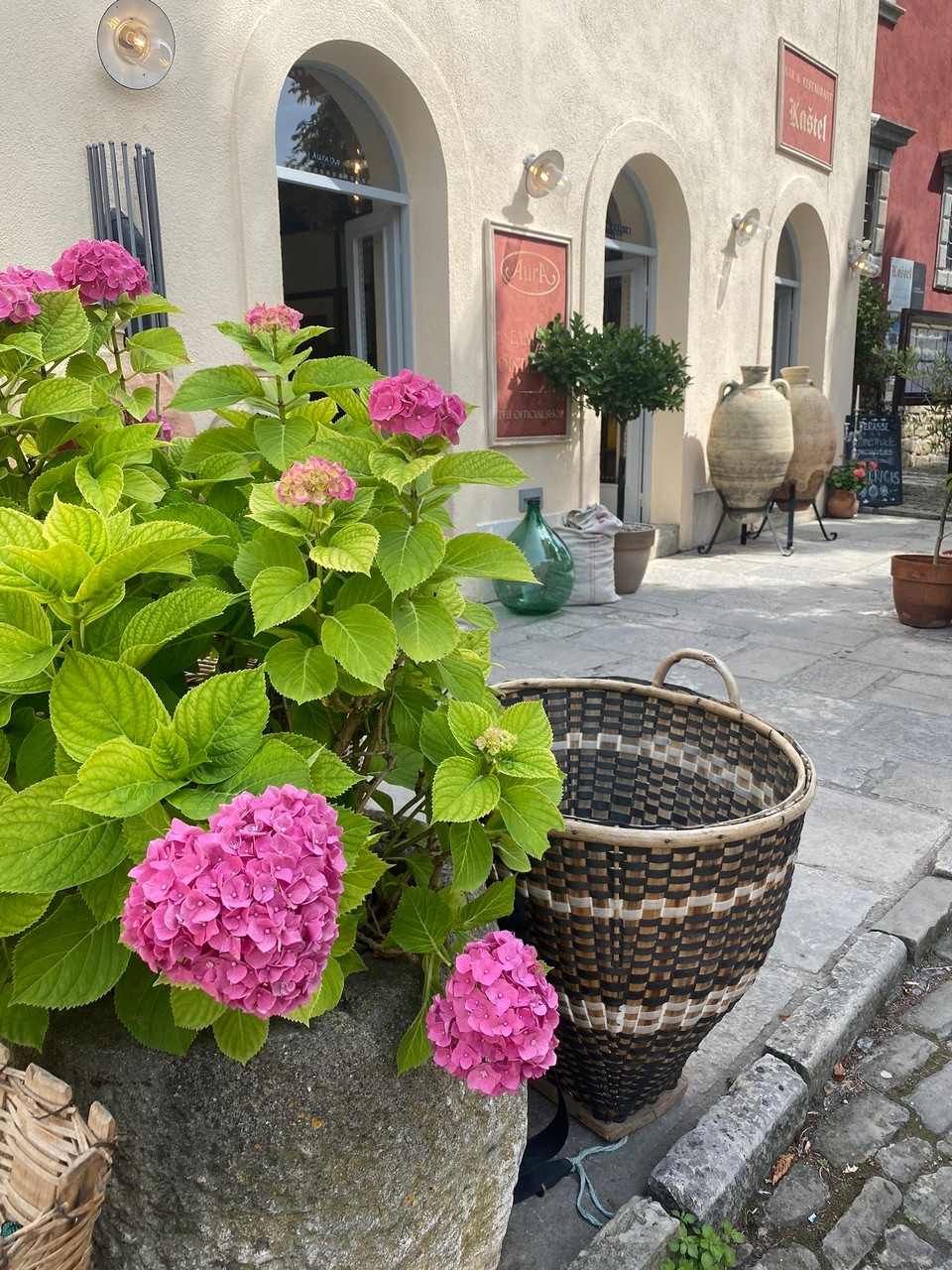 Kroatien - Motovun - 