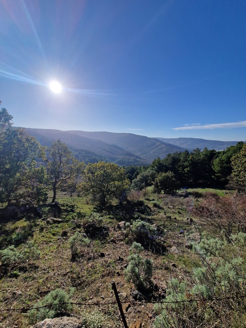 Italien - Augusta - 