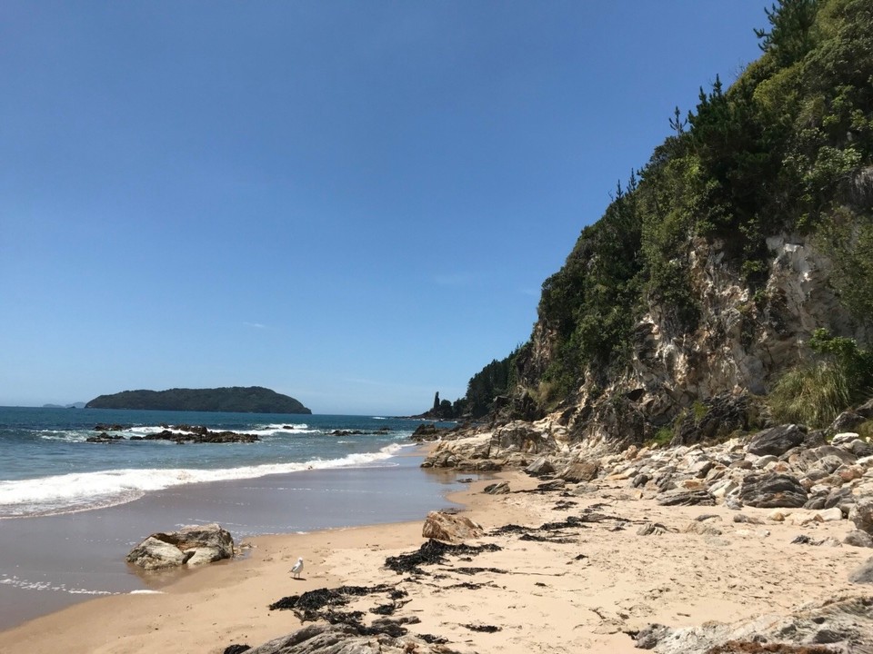 Neuseeland - Tairua - Strand bei unserem Übernachtungsplatz