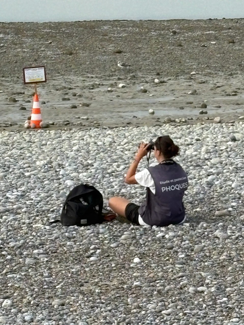 Frankreich - Cayeux-sur-Mer - 