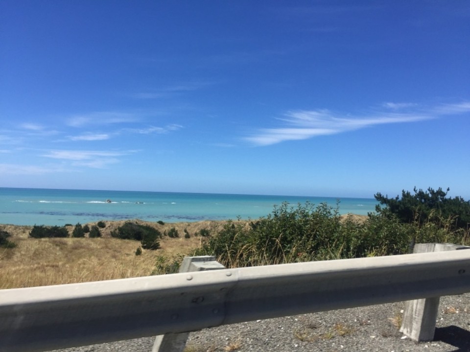 Neuseeland - Ward - 
